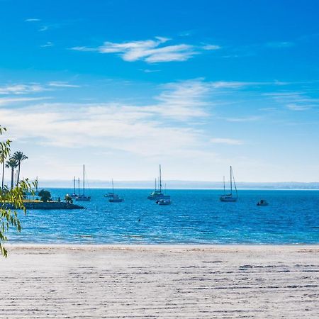 Ideal Property Mallorca - Concha 阿尔库迪亚港 外观 照片