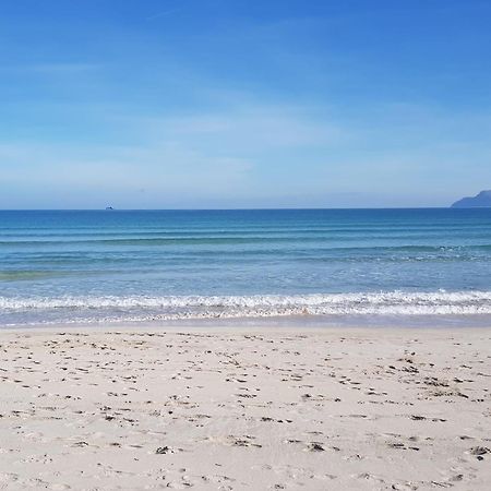 Ideal Property Mallorca - Concha 阿尔库迪亚港 外观 照片